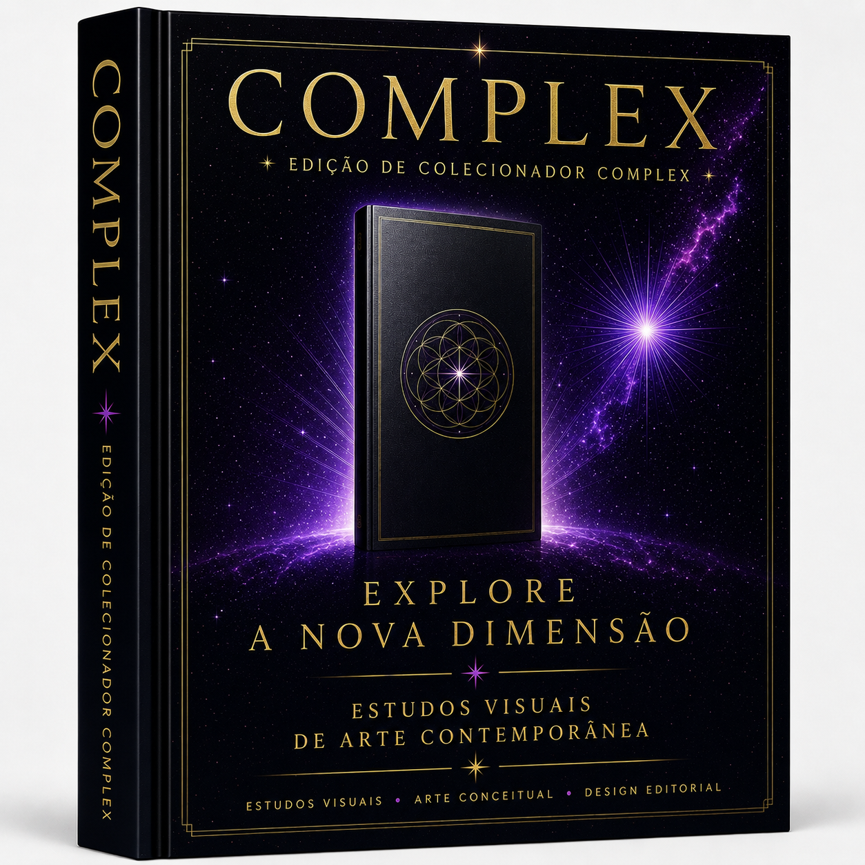 Obra Complex – Estudos Visuais de Arte Contemporânea